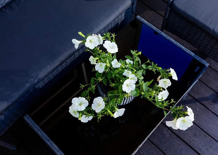 Letniskowe Modrzew 롯지 *